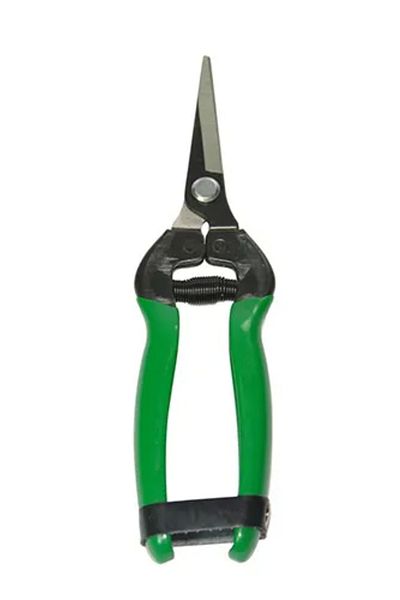 Bare & Bold 429e2 - Flat Blade Citrus Scissors 190 Mm