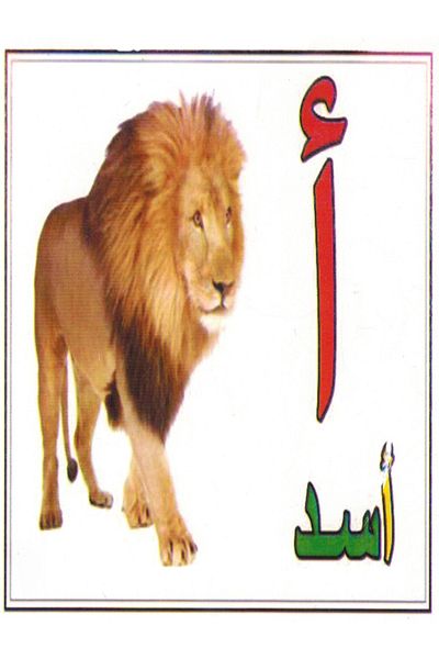 Educational Toys Arabic letters