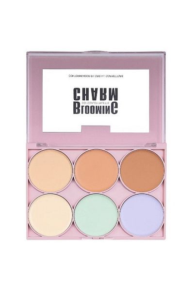 Ushas Paleta corector si anticearcan, Ushas, Blooming Charm Concealer, 6 culori, 03
