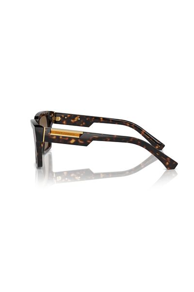 Dolce&Gabbana Dolce Gabbana Dg4465 502 73 55 Men's Sunglasses