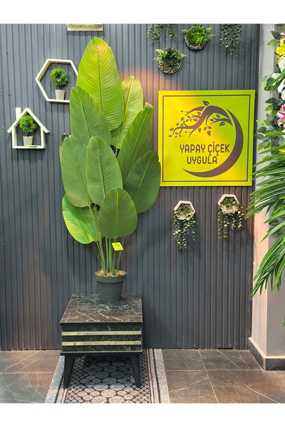 İremÇiçekçilik Yapay Çiçek Uygula Yapay Ağaç Salon Çiçeği Starlice 160 Cm 10 Yaprak