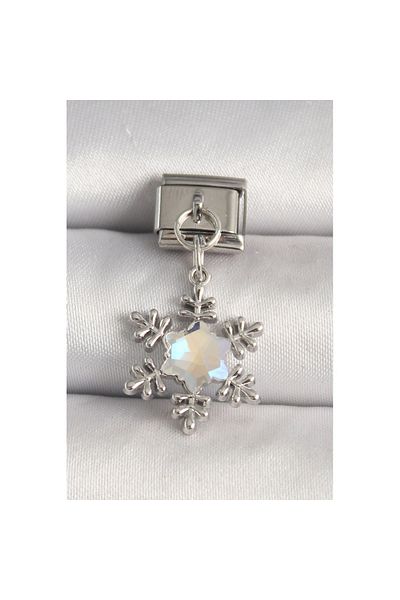 Skygo 316L Steel Silver Color Zircon Stone Snowflake Model Nomination Charm - Tj-Bc1271