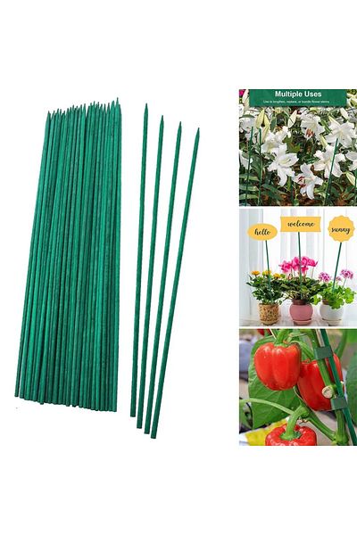 Choice 53cm 30pcs, 20.87inch Bamboo Plant Stakes, Plant Sticks Support for Indoor and Outdoor Plants, Garde