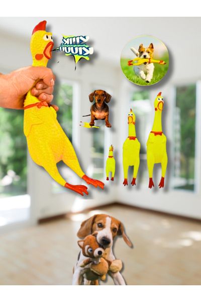 Patili Avm Sounding Chicken Cat Dog Toy 30 cm