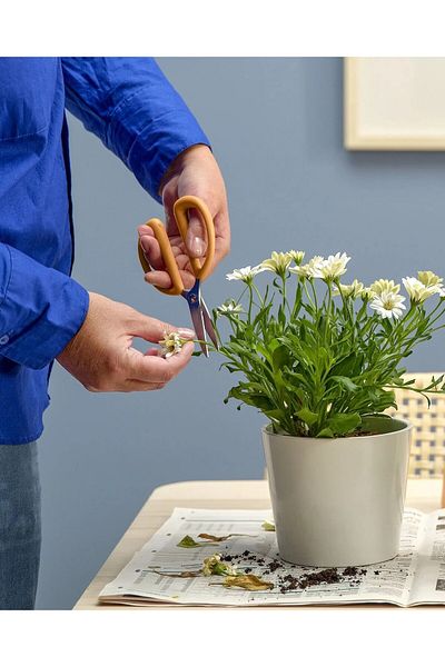 IKEA Ψαλίδι κλαδέματος φυτών Μήκος 16 cm Ikea Ψαλίδι κλαδέματος λουλουδιών από ανοξείδωτο ατσάλι πορτοκαλί