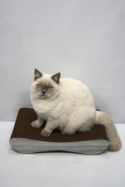Lazy Paws Cardboard Cat Scratching Sofa - Set of 2 - Wood Gray Pattern