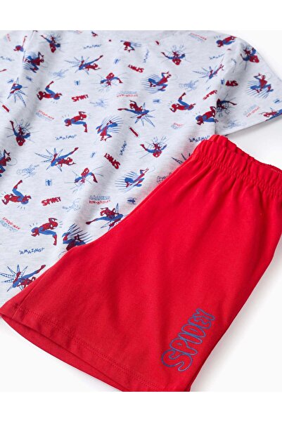 Ziddy Cotton Pyjama for Boys 'Spider-Man', Grey/Red
