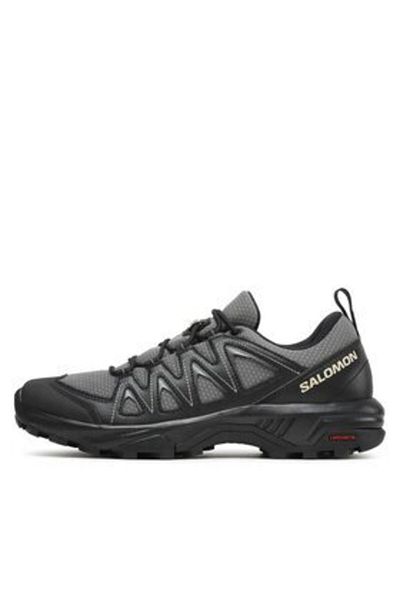 Salomon men's trekking L47180000 gray