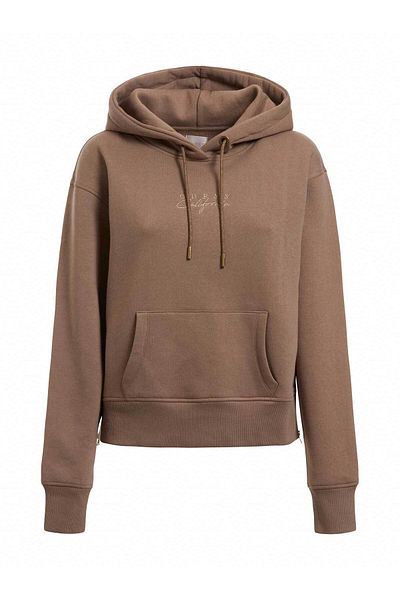 Guess HANNE SWEATSHIRT women's sweatshirt brown
