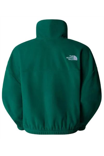 THE NORTH FACE W 100 GLACIER HALF ZIP women's fleece green