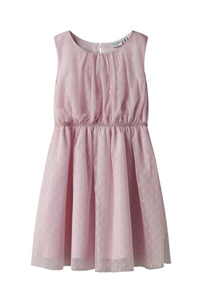 name ıt Nkfvabos spencer noos