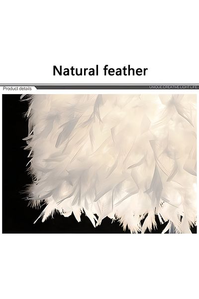 COOYA Desk Lamp, with Feather Lampshade, Portable Modern Style Antique Designed, 21x28cm