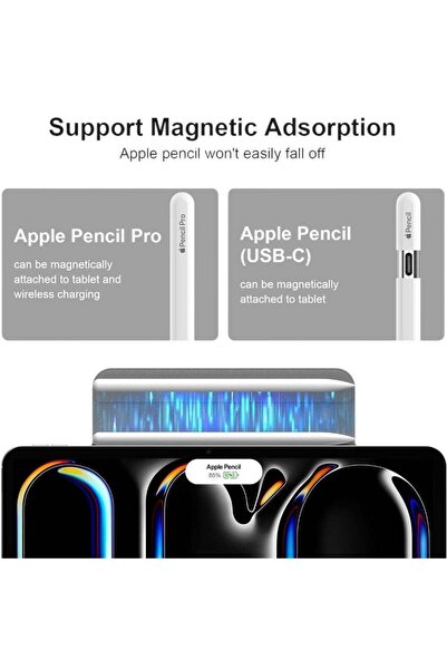 Max&Max حافظة ماكس آند ماكس لجهاز آيباد برو 13 بوصة 2024، أسود MXIPDP13C