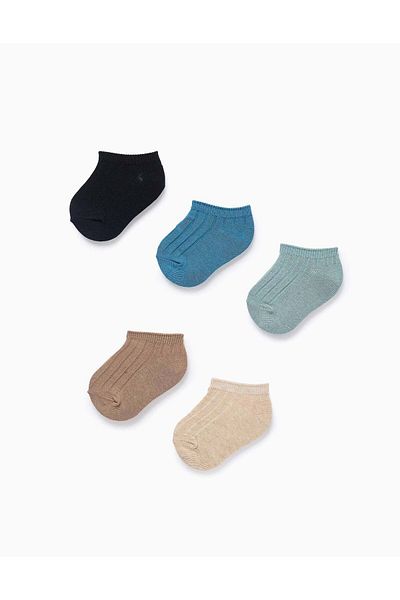 Ziddy Pack of 5 Pairs of Ribbed Ankle Socks for Baby Boys, Multicolour