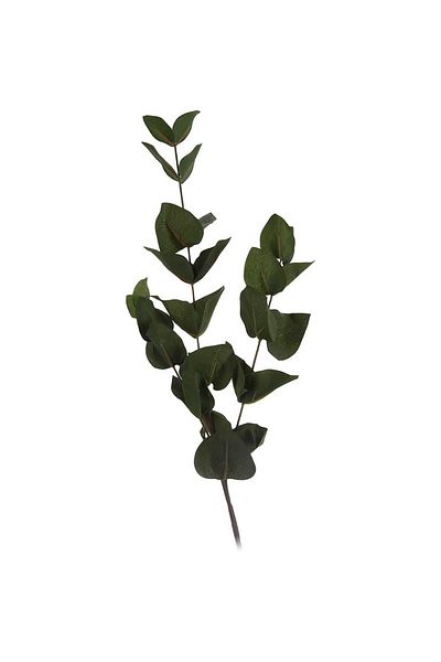 Homelux Planta de decor 60 cm, verde