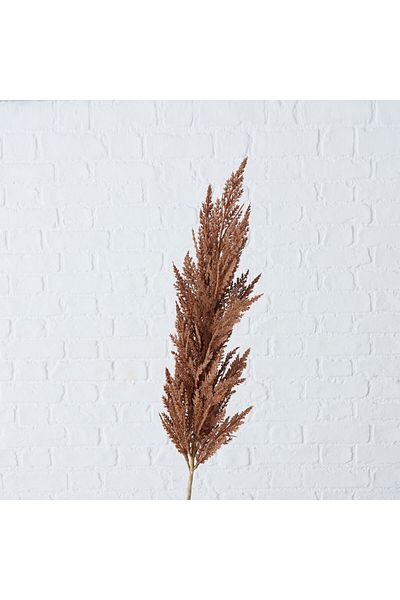 Homelux Plantă Decor Pampas 117 cm, maro