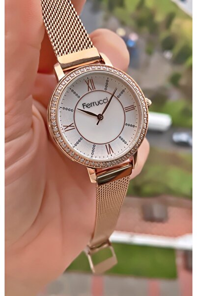 Ferrucci Ferruci Brand Rose Silver Color Steel Cord Women's Wristwatch - Bracelet Gift
