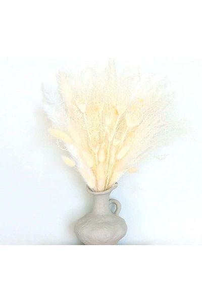 Karll Dried Bouquet Of Chbop Pampas, White