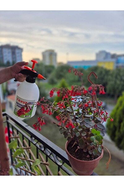 LEVA Pressurized Water Pump 2Lt Plant Watering and Spraying Pump White Orange