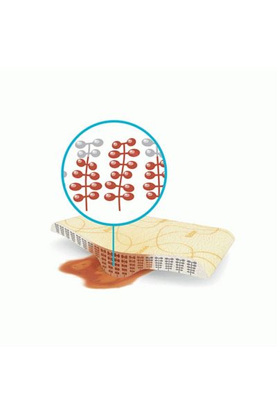 Coloplast (10 Pieces) 33430 Biatain Adhesive Foam Wound Cover 10cm X 10cm