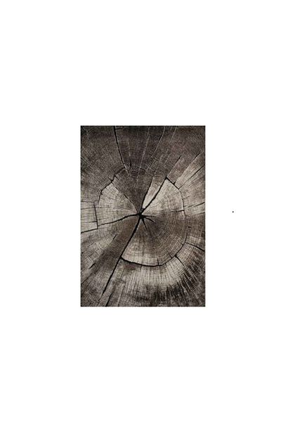 Merinos Covor MERINOS, Ibiza 605 95, 160 x 230 cm, densitate covor 2.7 KG/m , grosime covor 13 mm