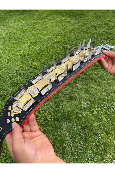 Sürmeli Tasma Wide Kangal Shepherd Dog Collar Genuine Buffalo Leather 1St Class Shepherd Series