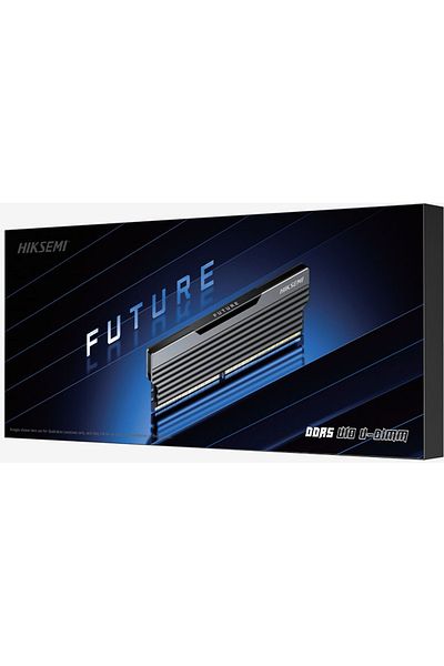 Hiksemi Future Ddr4 3600Mhz 16Gb Hsc416U36C2 Black Pc Ram