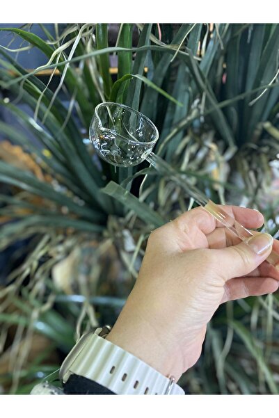 elif aksesuar Mercan Borosilikat Cam Sos Kepçesi