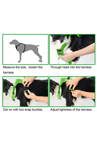 Lepus Köpek Göğüs Tasması Ultra Seri Otomatik Geri Çekilebilir Mekanizma