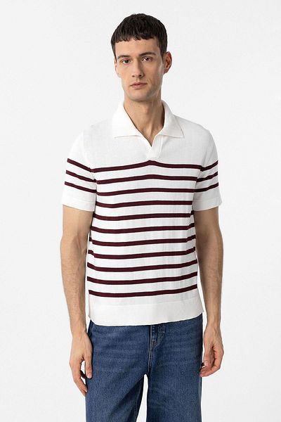 Antioch Claret Red-Ecru Polo Neck Striped Men's Knitwear T-Shirt