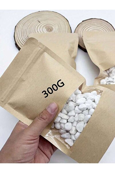 Choice 300 جرام 100/300/500 جرام حصى بيضاء أحجار زخرفية للنباتات - صخور نهرية...