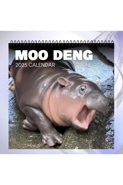 Choice تقويم مو دينج لعام 2025 | زينة فرس النهر الكرتونية الإبداعية، ديكور تق...