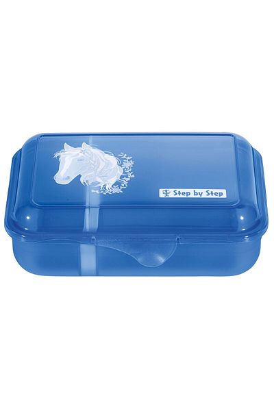 Step By Step Lunch Box 18 Cm