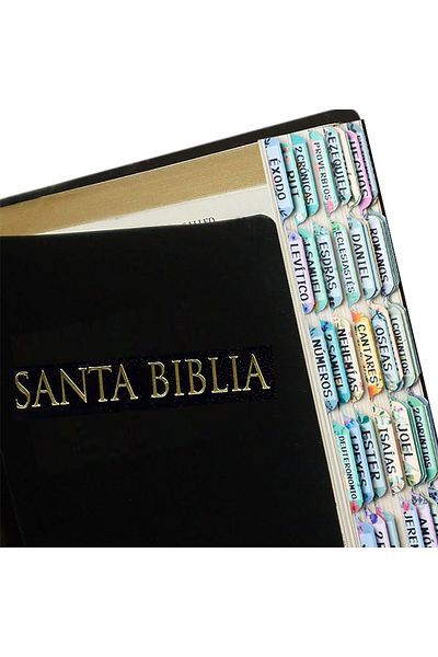 Choice علامات تبويب الكتاب المقدس باللغة الإسبانية، علامات تبويب الكتاب المقدس باللغة الإسبانية، باستيل بلوم، علامات تبويب الكتاب المقدس باللغة الإسبانية، العهد الجديد والقديم باللغة الإسبانية