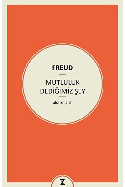 Zeplin Kitap Mutluluk Dediğimiz Şey