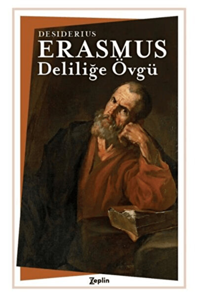 Zeplin Kitap Deliliğe Övgü