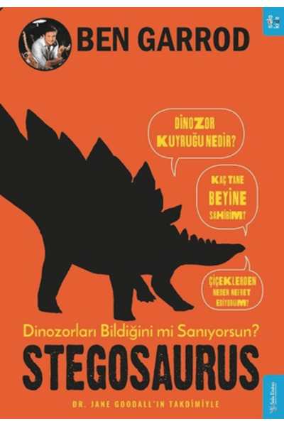 Sola Kidz Stegosaurus
