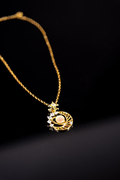 Zalifra قلادة فولاذية عصرية وأنيقة مع شكل كوكب السلمون من سلسلة Galaxy