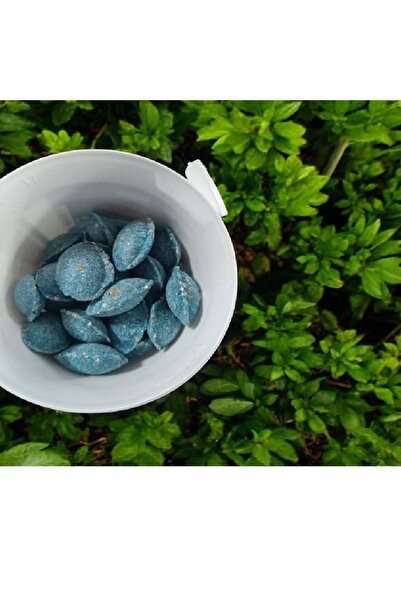 BASF Storm Secure Mum Blok 4gr Fare Yemi - 150 gr Yeni Sezon (S.K.T. 09.2027)