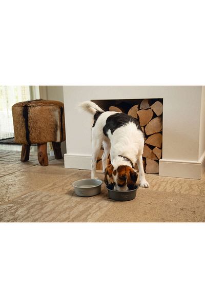 Beeztees Dbl Dog Food Water Bowl, Matte Gray Stainless Steel, 16cm, 940ml Zrnet