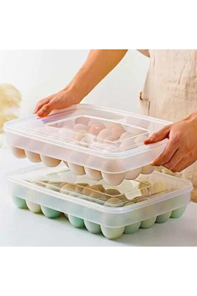 CT STONES Ct-Stones ®   30 Egg Storage Container