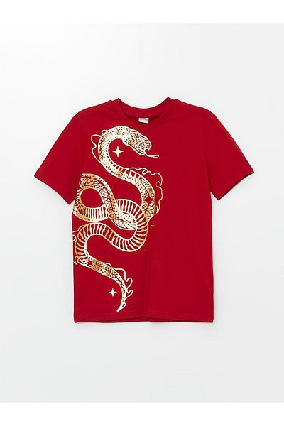 LC Waikiki Crew Neck Boy's T-Shirt