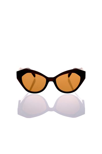 AR COLLECTİON Ar Collection Women's Bone Polarized Sunglasses Ar506 C4