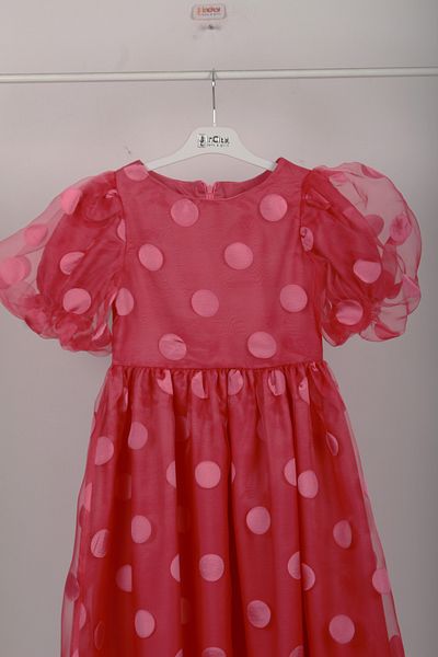incity Girl's Polka Dot Tulle Dress