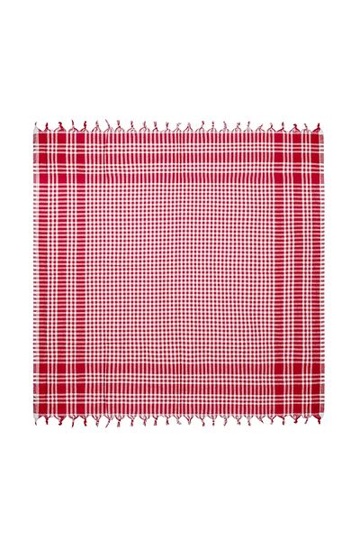 Evidea Soft Plaid Picnic Mat - Red - 165X165 cm
