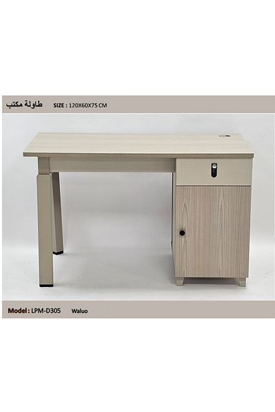TrentonGCC Modern Office Desk with Storage