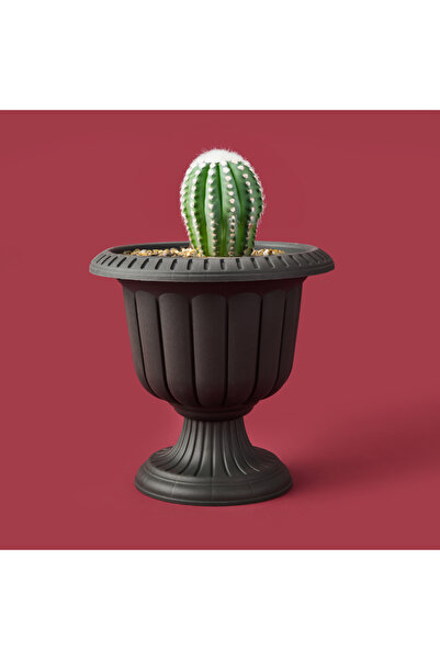SERİNOVA Serinova Ayaklı Plastik Saksı - Antrasit - 20,5x30x30 cm