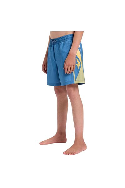 Quiksilver Everyday Holmes Volley Yth14 Boy Blue Volley Short Boy's Volley