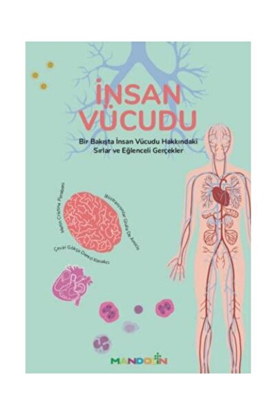 Mandolin Yayınları İnsan Vücudu / / Cristina Peraboni,Giulia De