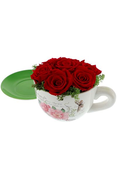 GiftExpress Arrangement with Red Cryogenic Roses